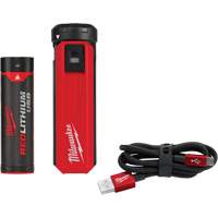 Trousse d'alimentation et de chargeur USB Redlithium, 4 V, Lithium-ion Ontario Packaging