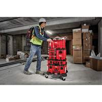 Coffre &agrave; outils compact Packout, 10" x 16-1/5" x 13", Noir/Rouge Ontario Packaging