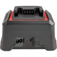 2.5 Ah & 5.0 Ah Battery Charger, 120 V, Lithium-Ion Ontario Packaging