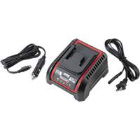 2.5 Ah & 5.0 Ah Battery Charger, 120 V, Lithium-Ion Ontario Packaging