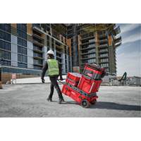 Packout Rolling Tool Chest, 15-4/5" x 34" x 28", Red Ontario Packaging