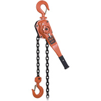 KLP Series Heavy-Duty Lever Chain Hoist with Overload Protection, 5' Lift, 6000 lbs. (3 tons) Capacity UAV894 | Ontario Packaging