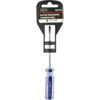 Blue Transparent Striped Slotted Screwdriver, 1/8" Tip, Round, Plastic Handle Ontario Packaging