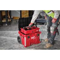 PACKOUT Rolling Tool Box, 18" x 22" x 19-1/2", Black/Red Ontario Packaging