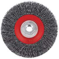 5C14T High Performance Crimped Wire Brush, 5" Dia., 0.014" Fill, 5/8"-11NC Arbor Ontario Packaging