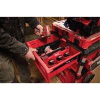 Diviseur pour boîtes &agrave; outils &agrave; tiroirs Packout Ontario Packaging