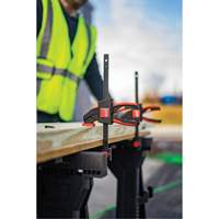 Medium Trigger Clamps Set, 12" (304.8 mm) Ontario Packaging