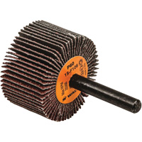 Disques &agrave; lamelles - Meules &agrave; lamelles Coolcut, Oxyde d'aluminium, Grain 60, 1-1/2" x 1" x 1/4" Ontario Packaging