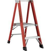 Industrial Extra Heavy-Duty Platform Stepladder (6500 AA Series), 4', 375 lbs. Cap. Ontario Packaging