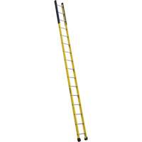 Single Manhole Ladder, 16', Fibreglass, 375 lbs., CSA Grade 1AA Ontario Packaging