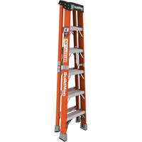 Step Ladder, 6', Fibreglass, 375 lbs. Capacity, Type 1AA Ontario Packaging