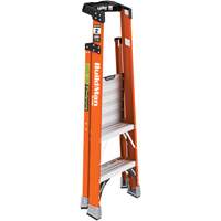 Safespace Platform Step Ladder, 2', 300 lbs. Cap. Ontario Packaging