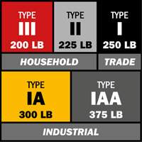 Step Ladder with Paint Tray, 10', Aluminum, 225 lbs. Capacity, Type 2 Ontario Packaging