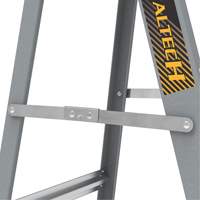 Step Ladder with Paint Tray, 6', Fibreglass, 225 lbs. Capacity, Type 2 Ontario Packaging