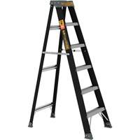 Step Ladder, 6', Fibreglass, 250 lbs. Capacity, Type 1 Ontario Packaging