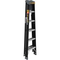 Step Ladder with Paint Tray, 6', Fibreglass, 250 lbs. Capacity, Type 1 Ontario Packaging