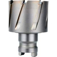 Fraise avec tenon &agrave; changement rapide Drive Hawg, Diam&egrave;tre de 2", Acier, Profondeur de la coupe de 1" Ontario Packaging