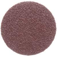 Lock Back Sanding Discs