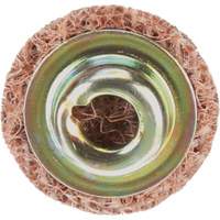 Standard Abrasives Quick-Change Surface Conditioning Disc, 3/4" Dia., Coarse Grit, Aluminum Oxide Ontario Packaging