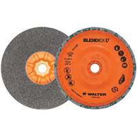 Blendex U Finishing Cup Disc, 5" Dia., Fine Grit, Silicon Carbide Ontario Packaging