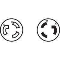 2-Pole 3-Wire Grounding Locking Plug, Nylon, 15 Amps, 250 V, L6-15P Ontario Packaging