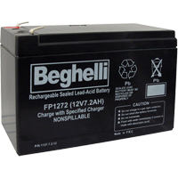 Sealed Lead Acid Batteries, 12 V, 7.2 Ah XB922 | Ontario Packaging