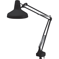 Heavy-duty Combination Task Light, 22/60 W, Fluorescent/Incandescent, 45" Neck, Black Ontario Packaging