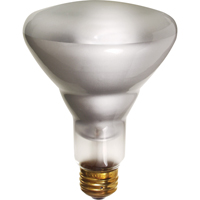Economy Line Incandescent Lamps Ontario Packaging