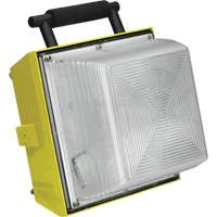 Hang-A-Light&reg; Fluorescent Magnetic Work Light Ontario Packaging