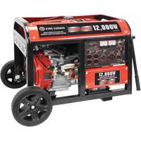 Electric Start Gas Generator with Wheel Kit, 12000 W Surge, 9000 W Rated, 120 V/240 V, 31 L Tank XI538 | Ontario Packaging