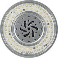 Lampe haute luminosité Ultra LED<sup>MC</sup>, DHI, 80 W, 10800 lumens, base Mogul XI562 | Ontario Packaging