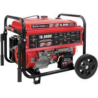 Gasoline Generator with Electric Start, 10000 W Surge, 7500 W Rated, 120 V/240 V, 25 L Tank XI762 | Ontario Packaging