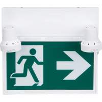 Running Man Sign with Security Lights, LED, Battery Operated/Hardwired, 12-1/10" L x 11" W, Pictogram XI790 | Ontario Packaging