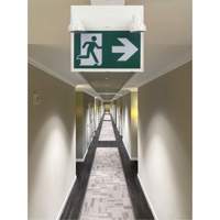 Running Man Sign with Security Lights, LED, Battery Operated/Hardwired, 12-1/10" L x 11" W, Pictogram Ontario Packaging