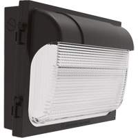 TWX Wall Luminaire, LED, 480 V, 9 W - 54 W, 14" H x 18" W x 5" D XI974 | Ontario Packaging