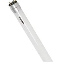 Ampoule DEL en verre givré SubstiTUBE<sup>MD</sup>, 12 W, T8, 5000 K, 48" l XJ097 | Ontario Packaging