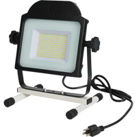 Floodlight, LED, 100 W, 10000 Lumens XJ197 | Ontario Packaging