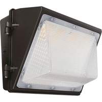 Non-Cutoff Wall Pack, LED, 120 - 277 V, 75 - 110 W, 9.33" H x 6.65" W x 14.5" D Ontario Packaging