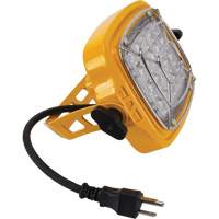 T&ecirc;te de projecteur de quai de 50 W et 7000 lumens Ontario Packaging