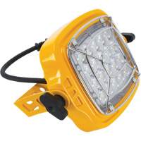 T&ecirc;te de projecteur de quai de 50 W et 7000 lumens Ontario Packaging
